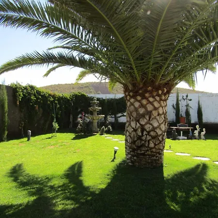Luxury Villa With Private Heated Pool In A Quiet Area. 别墅 圣米格尔德阿沃纳